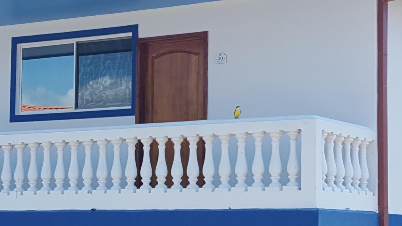 Hotel Grosseto Palma Real Loma Екстер'єр фото